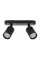 Спот Arte Lamp AQUARIUS ARTE LAMP A3226PL-2BK