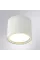 Уличный потолочный светильник Arte Lamp PIAUTOS ARTE LAMP A1913PF-1WH