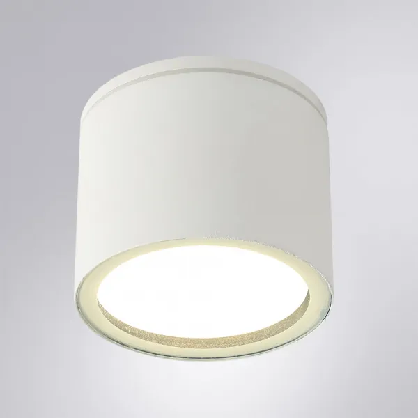 Уличный потолочный светильник Arte Lamp PIAUTOS ARTE LAMP A1913PF-1WH