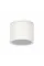 Уличный потолочный светильник Arte Lamp PIAUTOS ARTE LAMP A1913PF-1WH