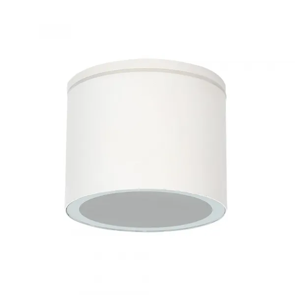 Уличный потолочный светильник Arte Lamp PIAUTOS ARTE LAMP A1913PF-1WH