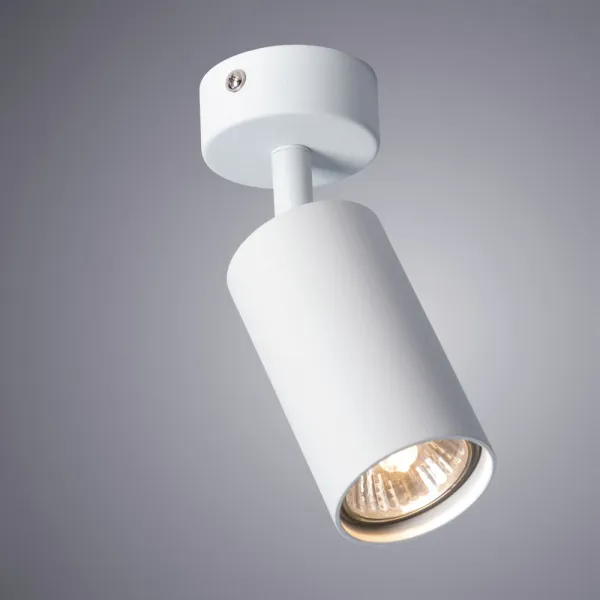 Спот Arte Lamp AQUARIUS ARTE LAMP A3216PL-1WH