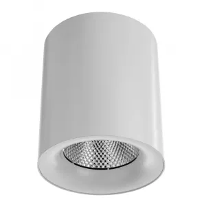 Точечный накладной светильник Arte Lamp FACILE