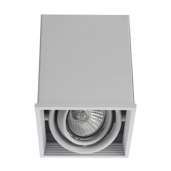 Точечный накладной светильник Arte Lamp CARDANI PICCOLO ARTE LAMP A5942PL-1WH