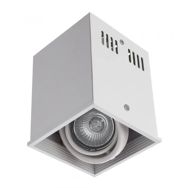 Точечный накладной светильник Arte Lamp CARDANI PICCOLO ARTE LAMP A5942PL-1WH