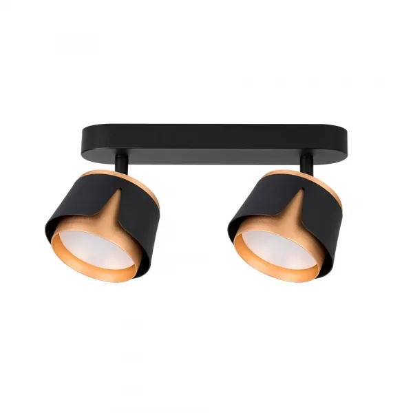 Спот Arte Lamp AMAKS ARTE LAMP A8028PL-2BK