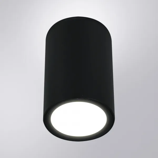 Уличный потолочный светильник Arte Lamp TORCULAR ARTE LAMP A1807PF-1BK