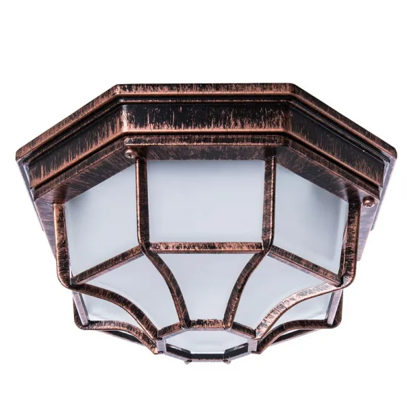 Уличный потолочный светильник Arte Lamp PEGASUS ARTE LAMP A3100PL-1AC