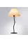 Декоративная настольная лампа Arte Lamp AGATHA ARTE LAMP A5069LT-1BK
