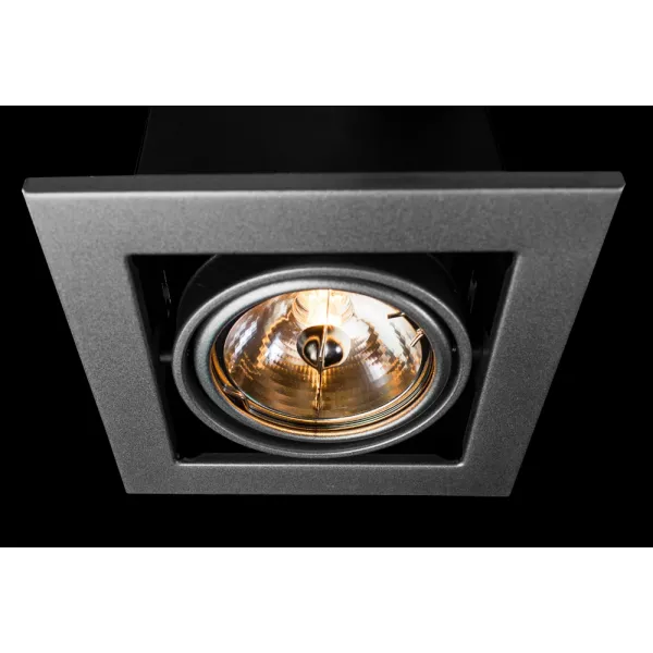 Карданный светильник Arte Lamp CARDANI MEDIO ARTE LAMP A5930PL-1SI
