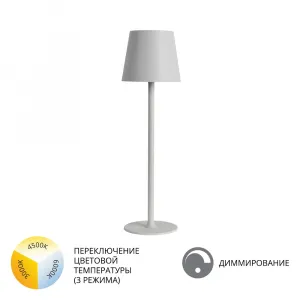 Уличный настольный светильник Arte Lamp FUYUE