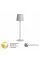 Уличный настольный светильник Arte Lamp FUYUE ARTE LAMP A1614LT-1WH