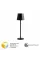 Уличный настольный светильник Arte Lamp FUYUE ARTE LAMP A1614LT-1BK