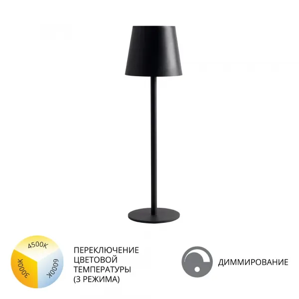 Уличный настольный светильник Arte Lamp FUYUE ARTE LAMP A1614LT-1BK