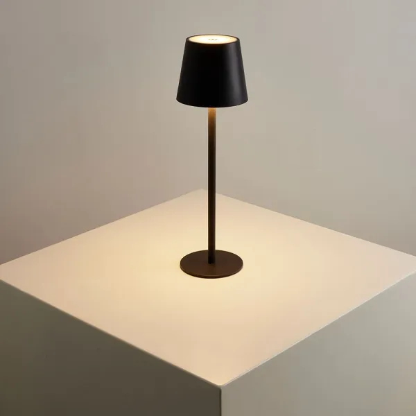 Уличный настольный светильник Arte Lamp FUYUE ARTE LAMP A1614LT-1BK