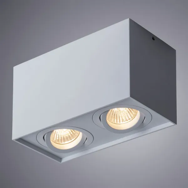 Точечный накладной светильник Arte Lamp FACTOR ARTE LAMP A5544PL-2WH