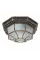 Уличный потолочный светильник Arte Lamp PEGASUS ARTE LAMP A3121PF-1BN