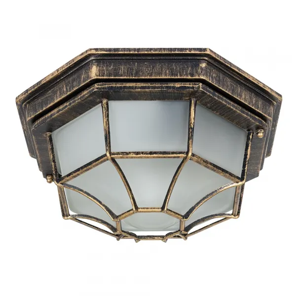 Уличный потолочный светильник Arte Lamp PEGASUS ARTE LAMP A3121PF-1BN