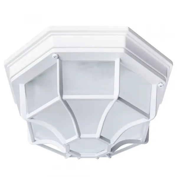 Уличный потолочный светильник Arte Lamp PEGASUS ARTE LAMP A3100PL-1WH