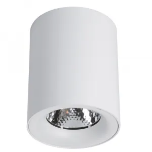 Точечный накладной светильник Arte Lamp FACILE