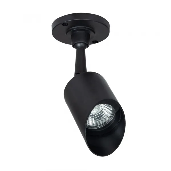 Уличный потолочный светильник Arte Lamp ELSIE ARTE LAMP A1022AL-1BK