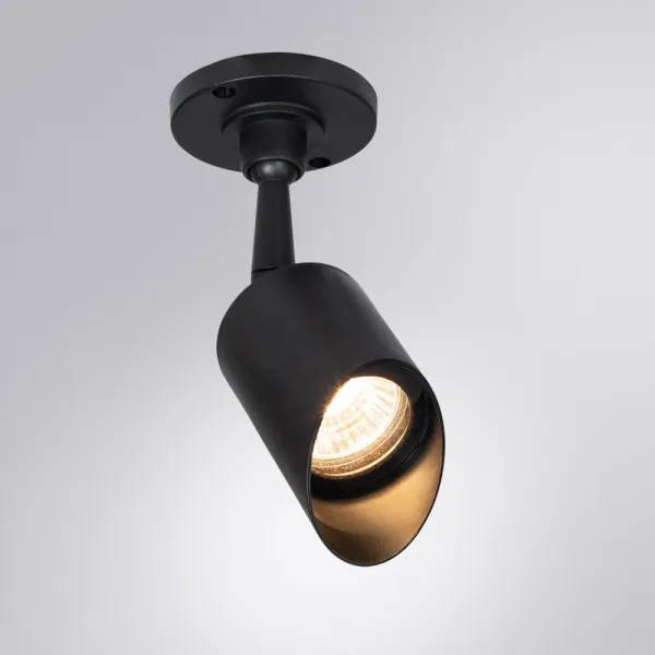 Уличный потолочный светильник Arte Lamp ELSIE ARTE LAMP A1022AL-1BK