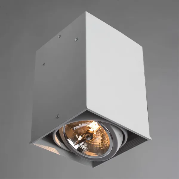 Точечный накладной светильник Arte Lamp CARDANI GRANDE ARTE LAMP A5936PL-1WH