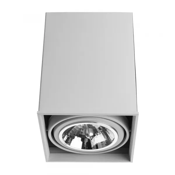 Точечный накладной светильник Arte Lamp CARDANI GRANDE ARTE LAMP A5936PL-1WH