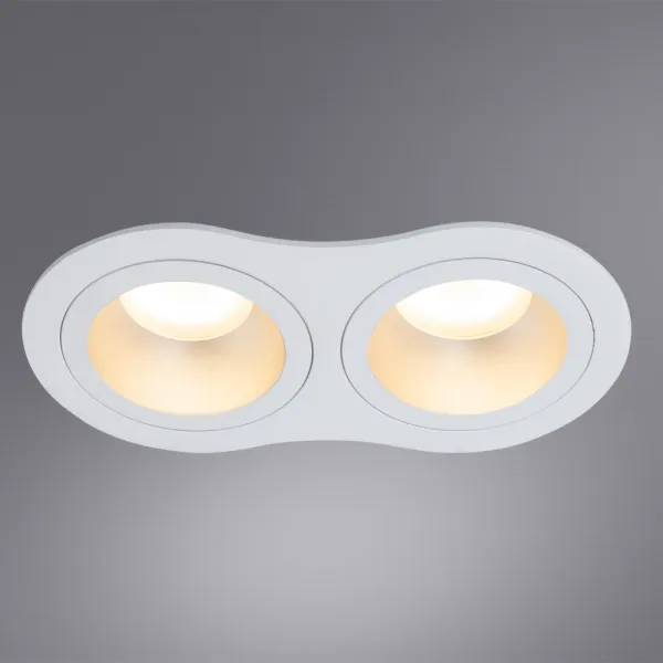 Точечный встраиваемый светильник Arte Lamp ALKES ARTE LAMP A2161PL-2WH