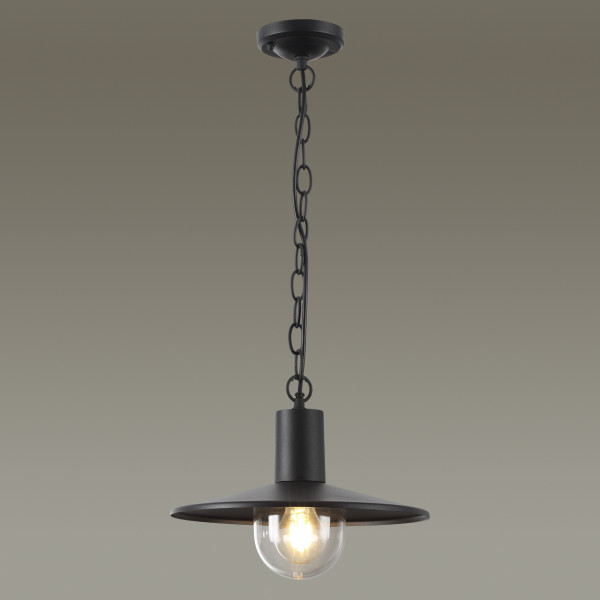 4833/1 NATURE ODEON LIGHT 4833/1