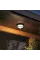 Уличный потолочный светильник Arte Lamp PEGASUS ARTE LAMP A3100PL-1BK
