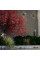 370958 STREET NOVOTECH 370958