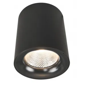 Точечный накладной светильник Arte Lamp FACILE