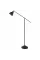 Торшер Arte Lamp BRACCIO ARTE LAMP A2054PN-1BK