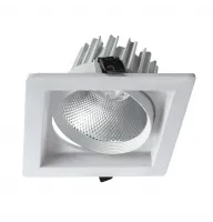 Карданный светильник Arte Lamp PRIVATO